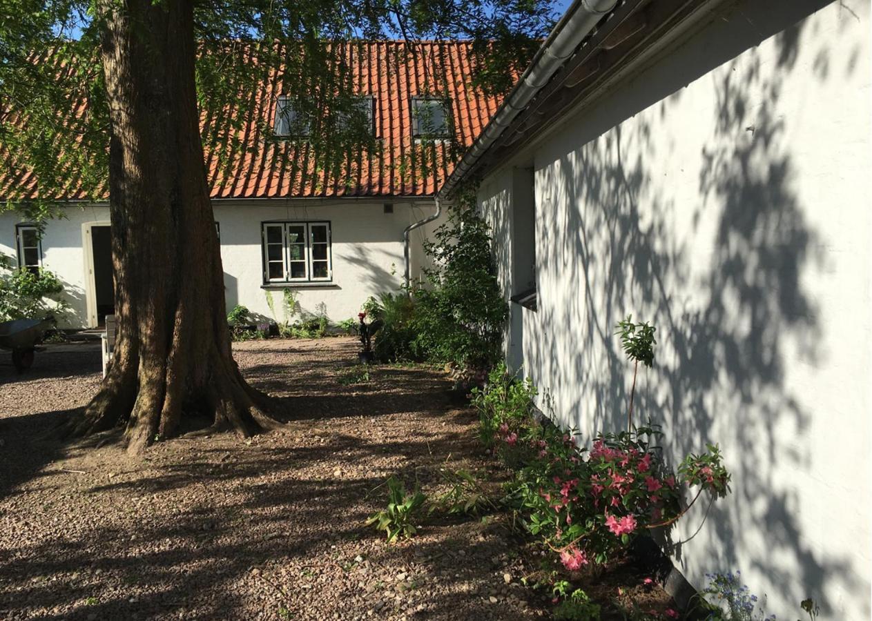 Horhaven B&B Fuglebjerg Kültér fotó